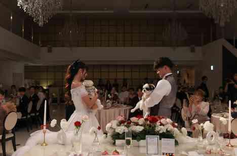大好きな愛犬と一緒に過ごすワンちゃん結婚式の演出画像