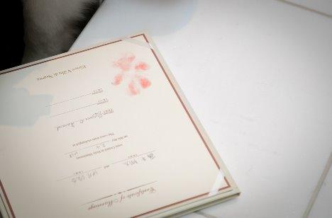 愛犬もご一緒にHappy Wedding♡♡の挙式画像