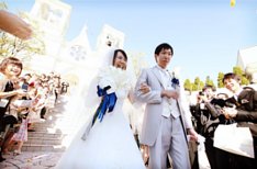 ＺＯＯ　+　Ｃｈｒｉｓｔｍａｓ　ＷＥＤＤＩＮＧの準備・打ち合わせ画像