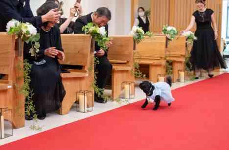愛犬と一緒に迎える、家族みんなの特別な一日の挙式画像