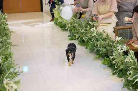 愛犬もゲストも主役。全員で楽しむナイトウェディングの準備・打ち合わせ画像