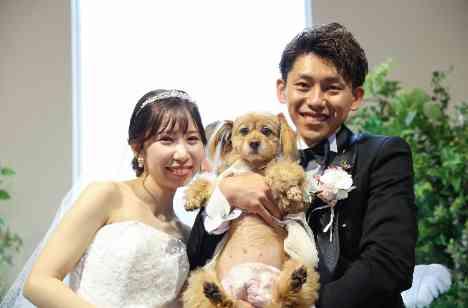 Happy w🐾nderful weddingの準備・打ち合わせ画像