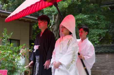 厳かな神前式＆食事と会話を楽しむ家族婚の挙式画像