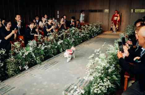 愛犬も一緒に過ごした 京都のガーデンウエディングの演出画像
