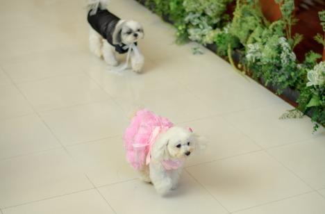印象的な華やかWeddingの挙式画像