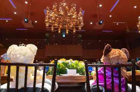 Happy Surprise Weddingの披露宴画像