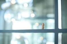 現代建築を貸切った、おふたりならではの結婚式!の演出画像