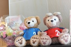 たくさんの仲間に囲まれて賑やかな結婚式の準備・打ち合わせ画像