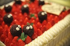 たくさんの仲間に囲まれて賑やかな結婚式の披露宴画像