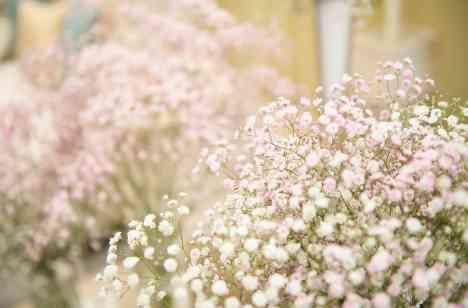 Heart Warming Weddingの披露宴画像
