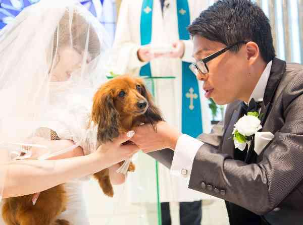 ★大好きな愛犬と一緒にウエディング★の挙式実例画像