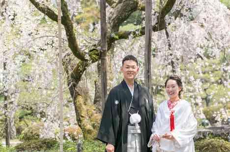 桜の季節にの準備・打ち合わせ画像