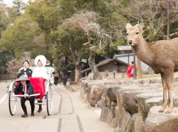 奈良を感じるWEDDINGの挙式実例画像