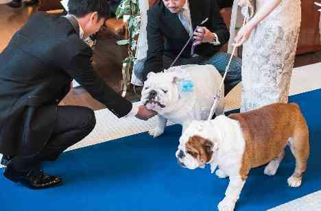 おふたりらしさ溢れるweddingの挙式画像
