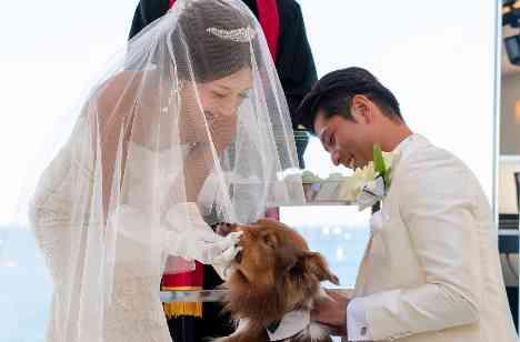 海と空に祝福される会場で大切な愛犬も大活躍！の挙式画像