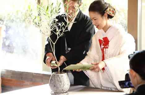 本格的な神社「小國神社」で叶える伝統の和婚の披露宴画像