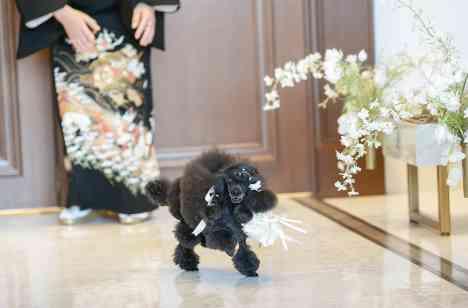 貸切会場で叶うワンちゃんと過ごす結婚式の挙式画像