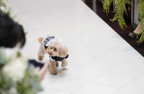 〜大切なゲストと愛犬と過ごす温かな1日〜の演出画像