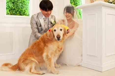 遠方から家族旅行も兼ねて結婚式ができましたの挙式画像