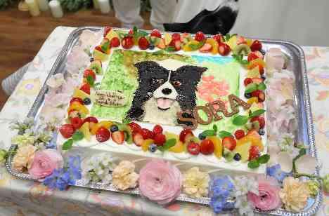 大切な家族★そらちゃんも一緒の結婚式の準備・打ち合わせ画像