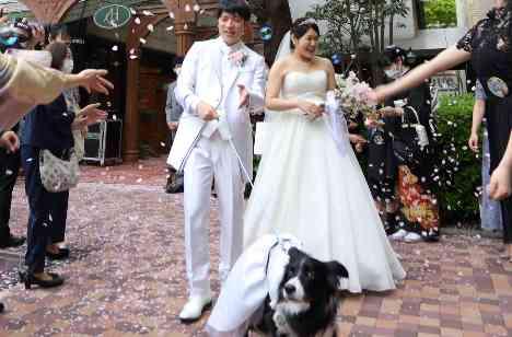 大切な家族★そらちゃんも一緒の結婚式の挙式画像
