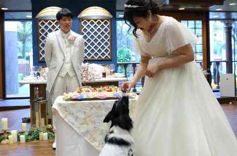 大切な家族★そらちゃんも一緒の結婚式の披露宴画像